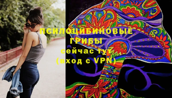 ПСИЛОЦИБИНОВЫЕ ГРИБЫ Алексеевка