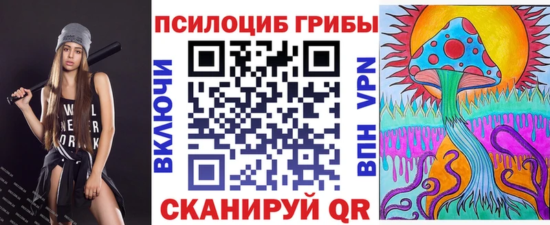 купить   Ставрополь  Галлюциногенные грибы прущие грибы 